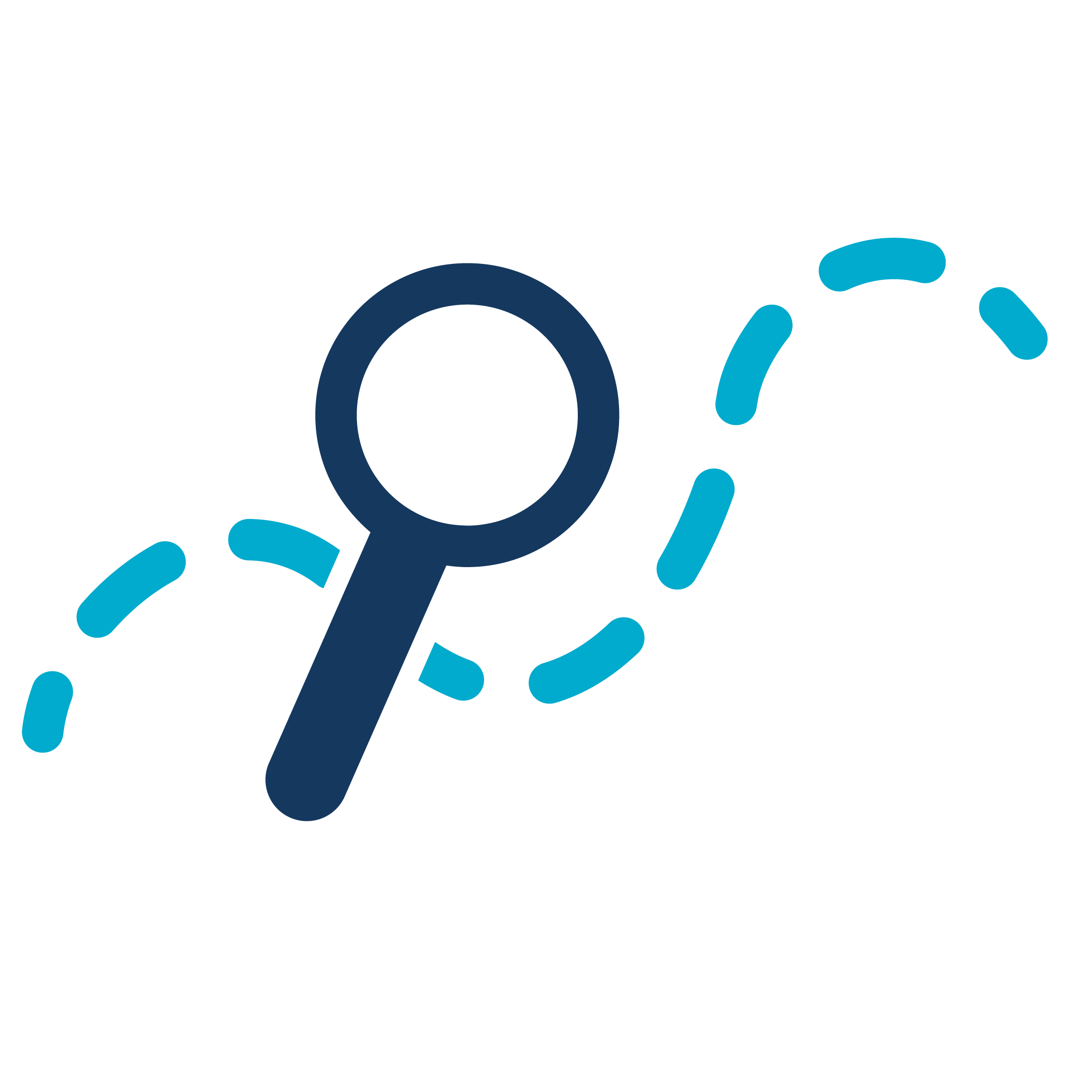 Magnifying glass icon